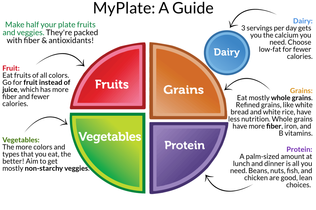 Examples of proteins, carbohydrates, and fats